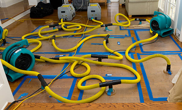 Professional Sewage Cleanup technician working in McGregor, TX